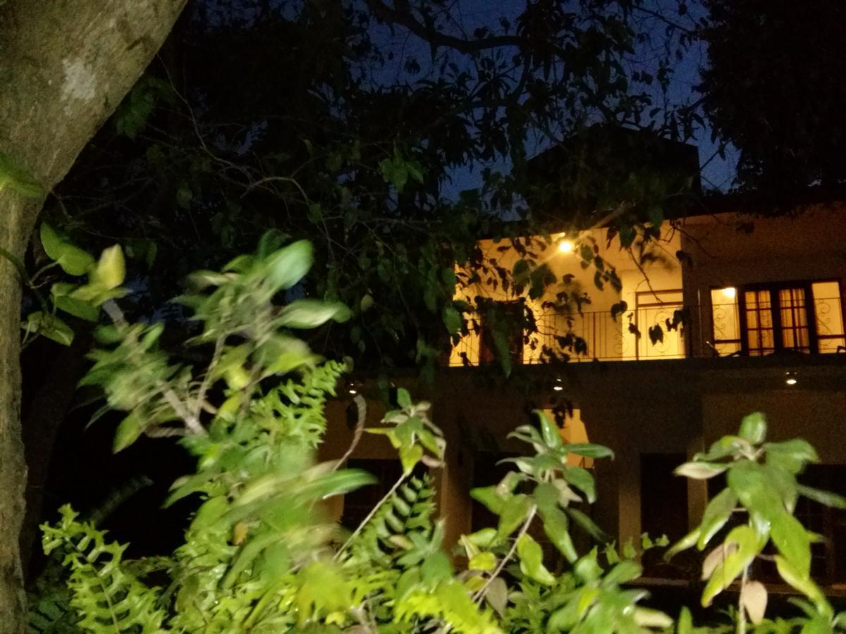 Green Earth Resort And Restaurant Dambulla Exterior foto