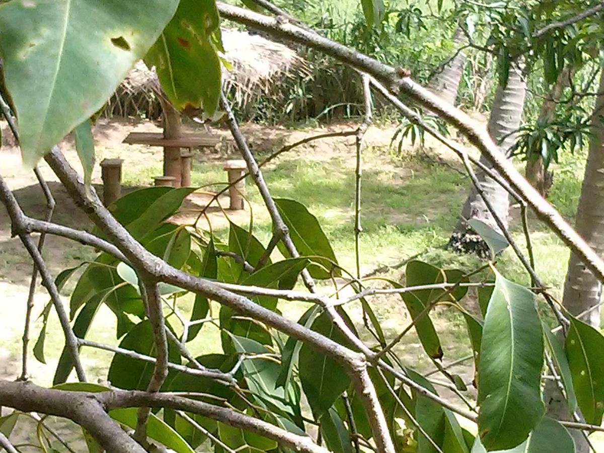 Green Earth Resort And Restaurant Dambulla Exterior foto